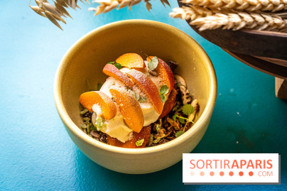 Glace insolite : la glace pain au chocolat de Sain -  A7C7851