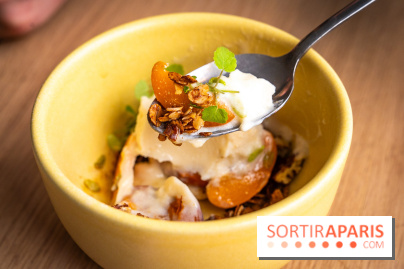 Glace insolite : la glace pain au chocolat de Sain -  A7C7852