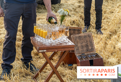 Montgolfière à Fontainebleau, vol au dessus de l'Ile-de-France - A7C9031