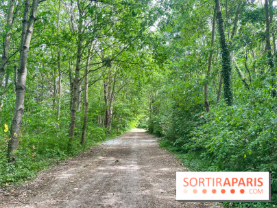 Cergy, la ville aux milles facettes - image00136