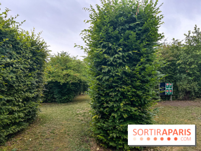 Les labyrinthes de Gally 2023