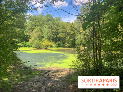 Le Parc forestier de la Poudrerie à Sevran
