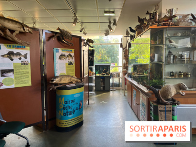 La Maison de la Pêche et de la Nature - image00027