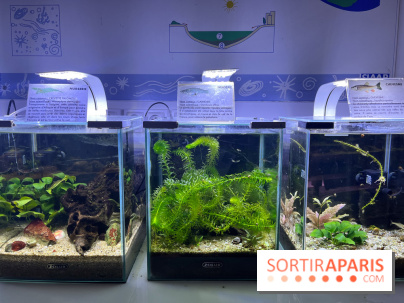 La Maison de la Pêche et de la Nature - image00016