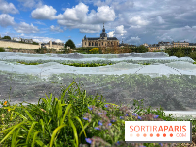 Potager du Roi