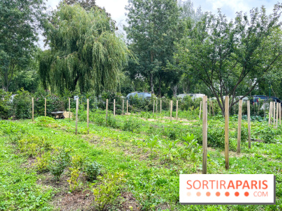 Les Rives de Paris, l'unique camping du 93 à Neuilly-sur-Marne