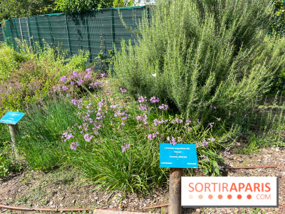 Le parc Georges Brassens, pour se croire à la campagne dans le 15e - image00064