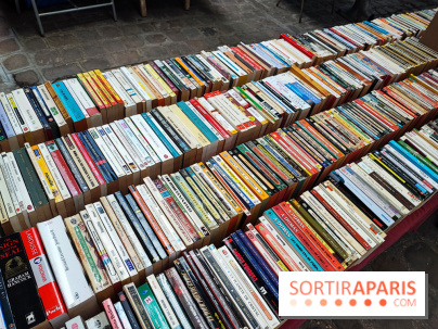 Marché du livre ancien et d'occasion - IMG 20230812 122009