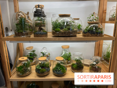 Boby la Plante - IMG 4334