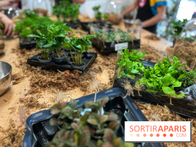 Boby la Plante - IMG 4343