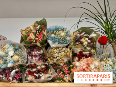 Boby la Plante - IMG 4353