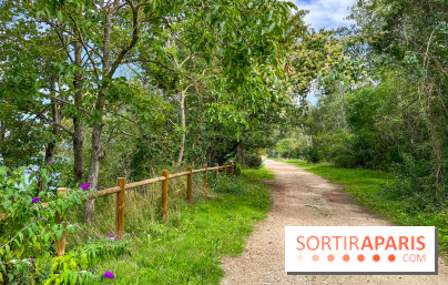 L'étang de la Galiotte dans le parc du Peuple de l'Herbe - Carrières-sous-Poissy (Yvelines) - image00021