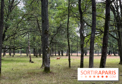 Espace Rambouillet - IMG 4375