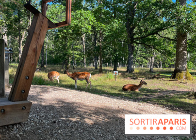 Espace Rambouillet - IMG 4417