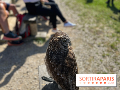 Espace Rambouillet - IMG 4454