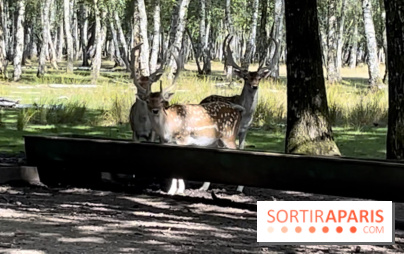 Espace Rambouillet - IMG 4544