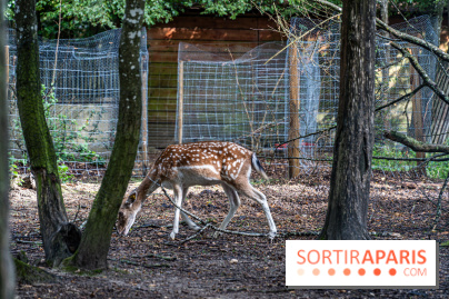 Le village de Janvry en Haute Vallée de Chevreuse  -  A7C0052