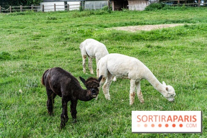 Le village de Janvry en Haute Vallée de Chevreuse  -  A7C9962