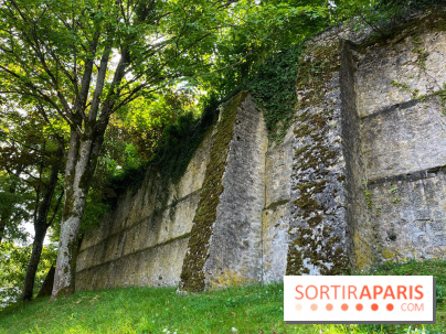 Provins, cité médiévale - IMG 4668