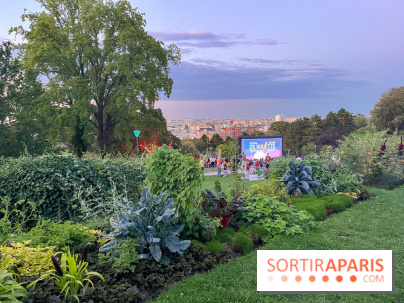 Festival Silhouette au parc de la Butte du Chapeau Rouge - image00009