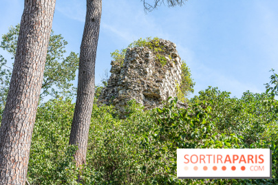 Village de Rochefort en Yvelines - A7C0273