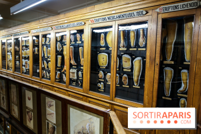 Musée des Moulages à Paris, nos photos - IMG 0834