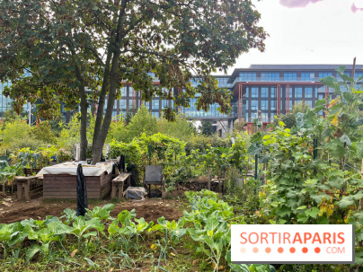 Le Grand Parc des Docks, à Saint-Ouen - image00222