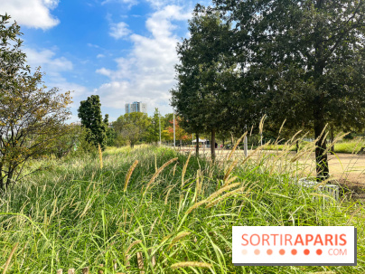 Le Grand Parc des Docks, à Saint-Ouen - image00199