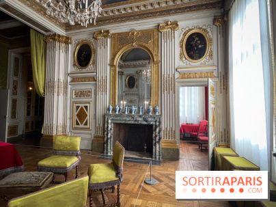 Hôtel de Sully - IMG 8828