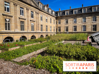 Vignoble Hôtel de Ville