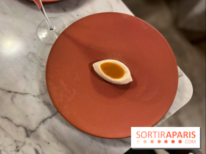 Tracé, Clément Vergeat - Glace reine des prés insert pollen