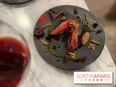 Tracé, Clément Vergeat - Pigeon cuit sur le coffre