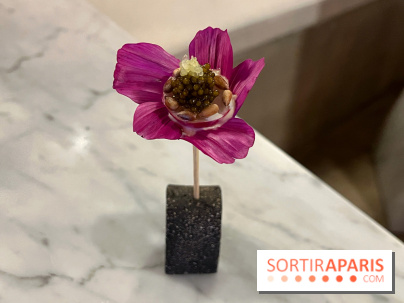 Tracé, Clément Vergeat - Fleur radis caviar