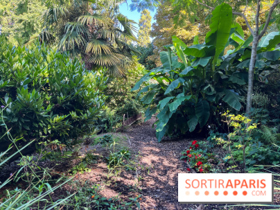 Parc de la butte du chapeau rouge - image00792