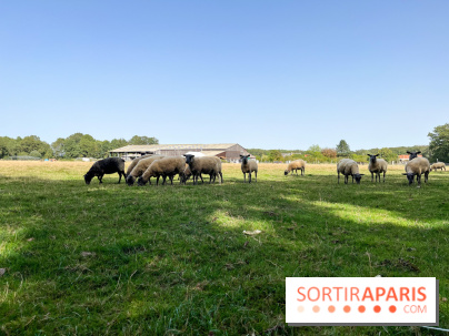 La Ferme des 4 Etoiles à Auffargis - image00047