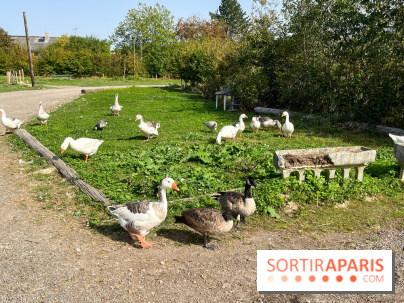 La Ferme des 4 Etoiles à Auffargis