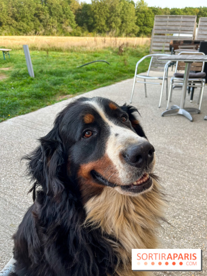 La Ferme des 4 Etoiles à Auffargis - image00006