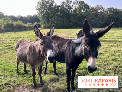 La Ferme des 4 Etoiles à Auffargis - image00002