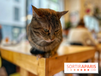 La Régulière - IMG 5295