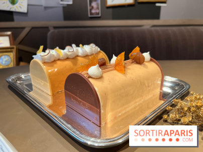 Hugo & Victor - Bûche de Noël 2023 marron-clémentine