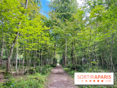 Un week-end le long du Loing, de Montigny-sur-Loing à Thomery - image00015