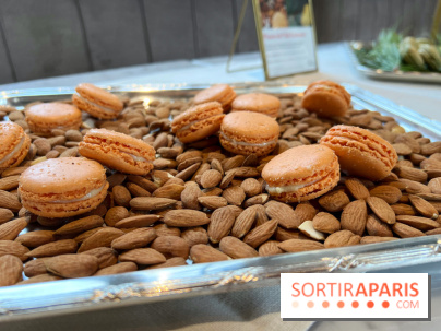 Dalloyau - Macarons de Noël 2023