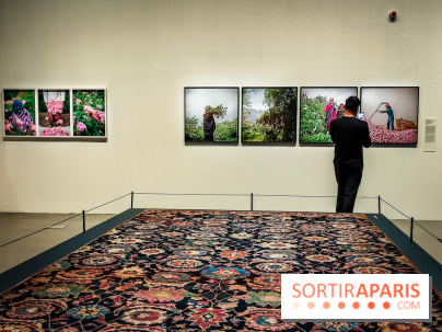 Parfums d'Orient, l'exposition qui enchante nos sens à l'Institut du Monde Arabe - photos