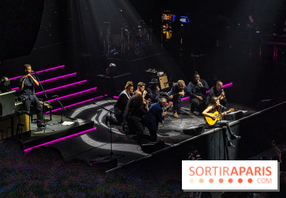 L'Héritage Goldman au Dôme de Paris - Palais des Sports - les photos