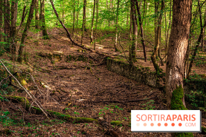 Le sentier des Maréchaux à Senlisse - Vallée de Chevreuse - ancien abreuvoir