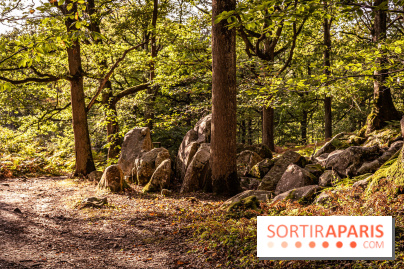 Le sentier des Maréchaux à Senlisse - Vallée de Chevreuse - bloc