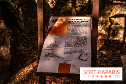 Le sentier des Maréchaux à Senlisse - Vallée de Chevreuse - A7C2536
