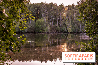 Le sentier des Maréchaux à Senlisse - Vallée de Chevreuse - étang de Cernay