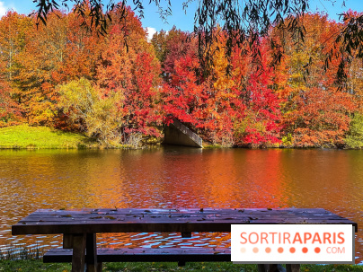 Bassin - étang de la Boissière à Elancourt
