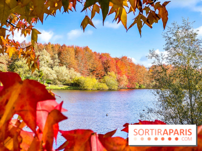 Bassin - étang de la Boissière à Elancourt